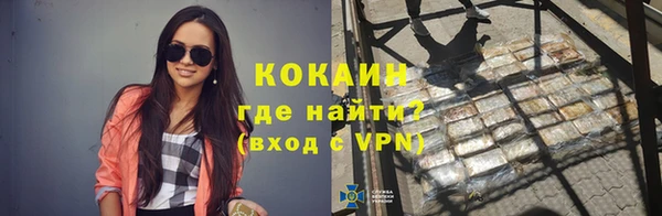 кокс Алексин