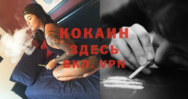 кокс Алексин