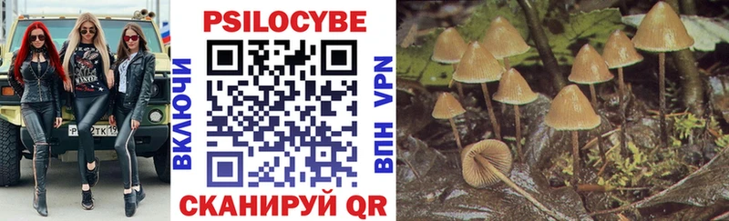 Псилоцибиновые грибы GOLDEN TEACHER  Бабушкин 